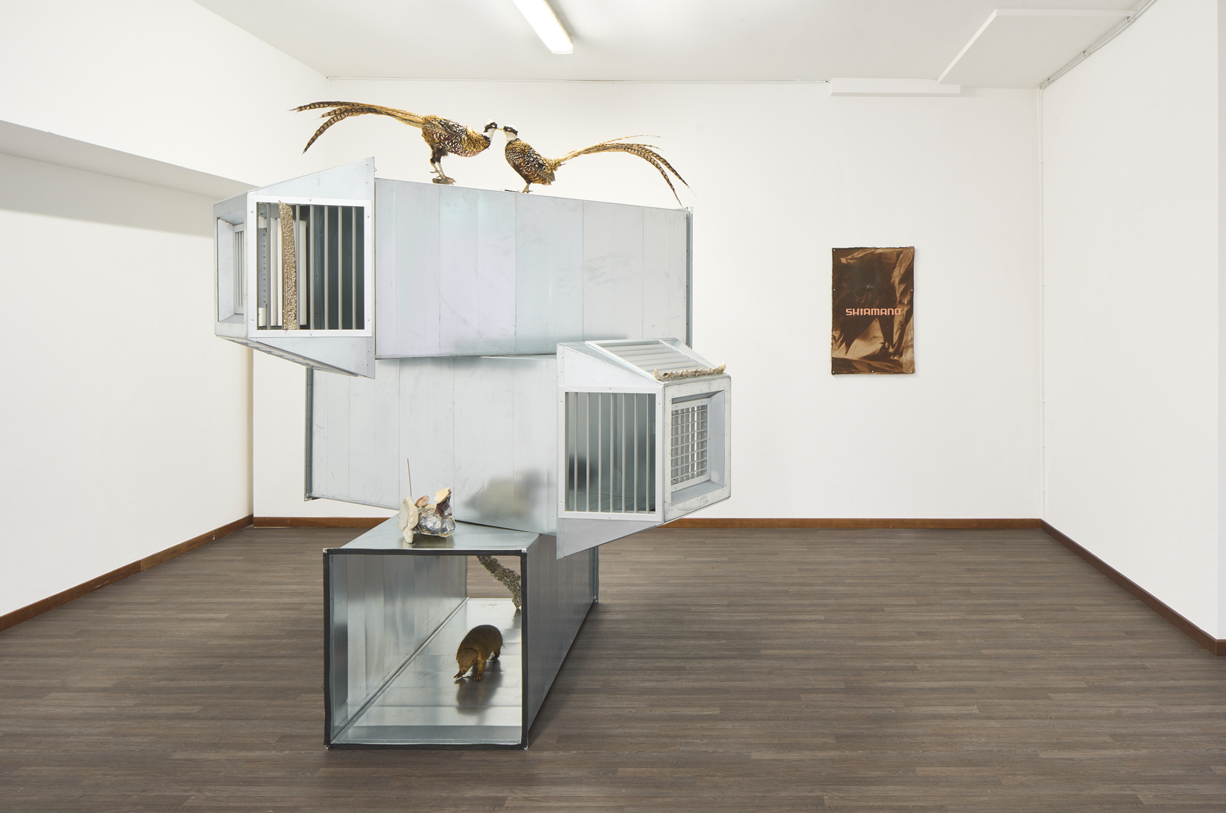 Installation view of last exhibition at the gallery