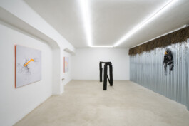 Edoardo Caimi, A Year Without Summer, Installation view at The Address, Brescia, 2021 Installation view of last exhibition at the gallery
