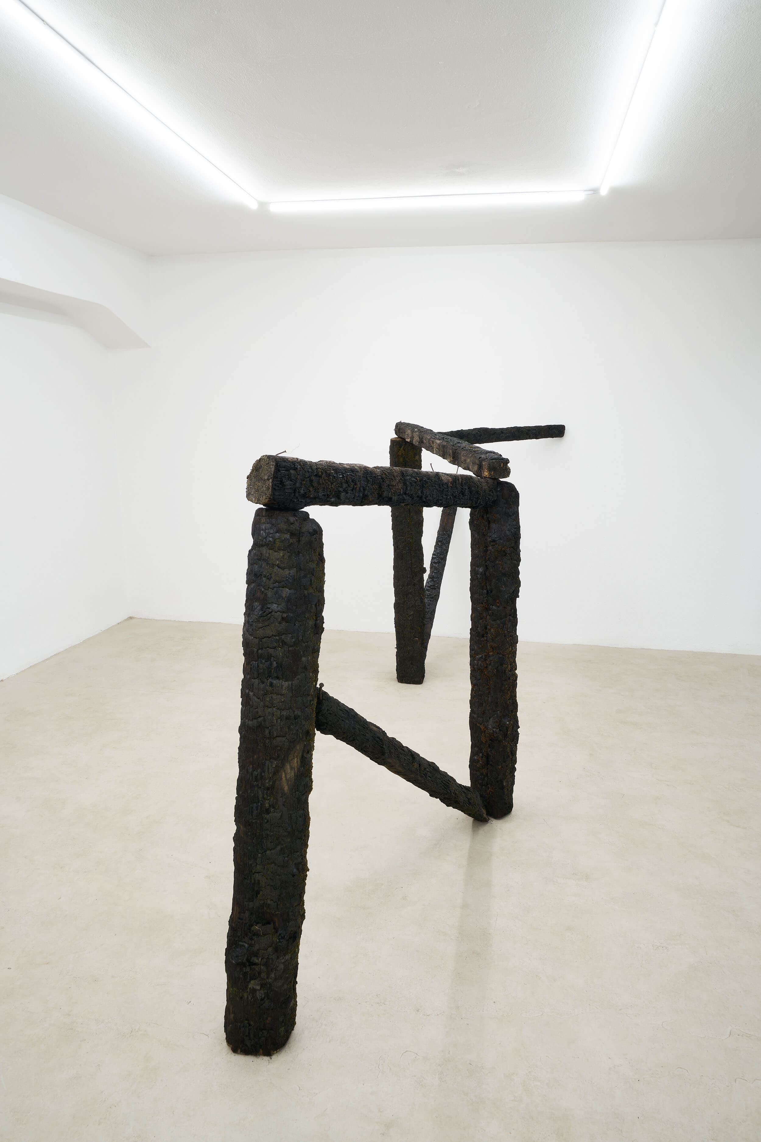 Edoardo Caimi'artwork, Warm mist is like a gentle sadness bath, 2019, made of burnt wood and spikes, 143 × 353 × 90 cm Installation view of last exhibition at the gallery