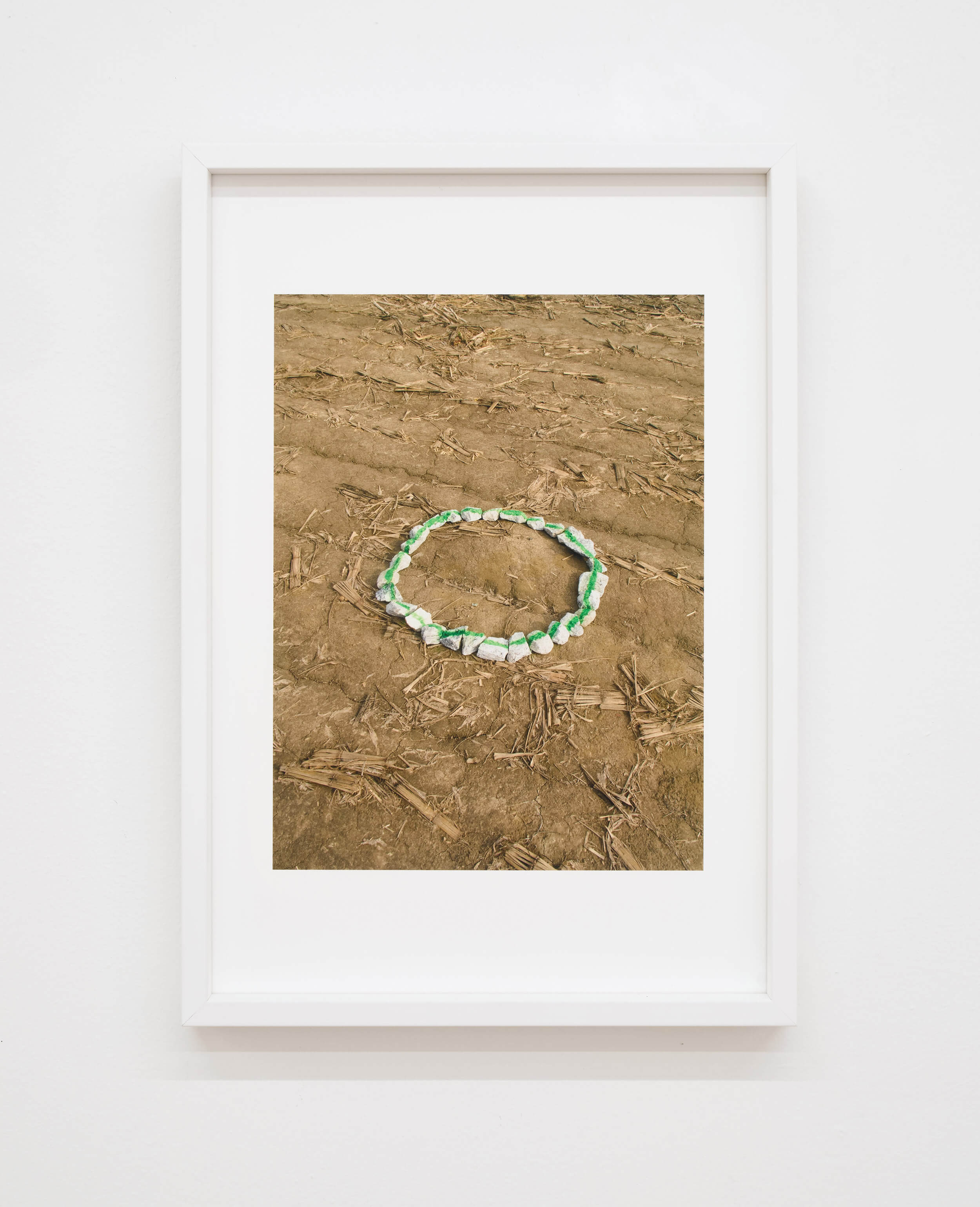  Installation view of last exhibition at the gallery