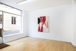 installation view of Edouard nardon's blue pruno blue exhibition at The Address, brescia Installation view of last exhibition at the gallery