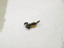 installation view of Edouard Nardon's exhibition