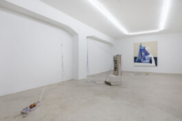 installation view of Edouard Nardon's exhibition
