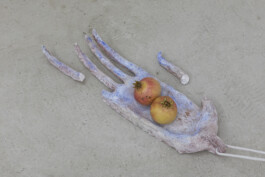 installation view of Edouard Nardon's exhibition