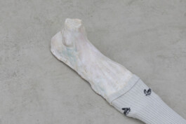 installation view of Edouard Nardon's exhibition