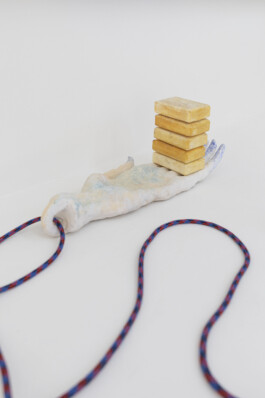 installation view of Edouard Nardon's exhibition