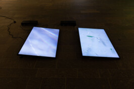 Marina Cavadini, Untitled (Deep Moisture), 2022, two channel video (1’29’’ looped) Installation view of last exhibition at the gallery