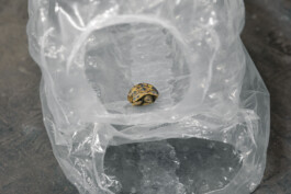  Installation view of last exhibition at the gallery