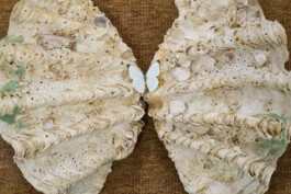 installation view of the exhibition