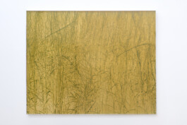 Marina Cavadini Ammofila Arenaria 2022 Installation view of last exhibition at the gallery