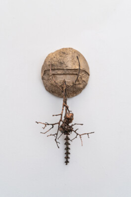 Nicola Ghirardelli, Figli di Horo, 2024 Bronze and copper and silver 35 × 17 × 11 cm; The artwork consists of four circular plaques mounted on a white wall, each adorned with organic, branch-like elements protruding from them. The plaques seem to be made of a material resembling clay or plaster, with intricate details and textures that give them a natural, earthy feel. The branches attached to each plaque vary in form and complexity, adding a dynamic and somewhat fragile appearance to the overall installation. Installation view of last exhibition at the gallery