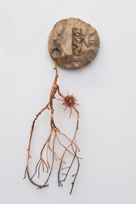 Nicola Ghirardelli, Figli di Horo, 2024 Bronze, copper and silver. The artwork consists of four circular plaques mounted on a white wall, each adorned with organic, branch-like elements protruding from them. The plaques seem to be made of a material resembling clay or plaster, with intricate details and textures that give them a natural, earthy feel. The branches attached to each plaque vary in form and complexity, adding a dynamic and somewhat fragile appearance to the overall installation. Installation view of last exhibition at the gallery