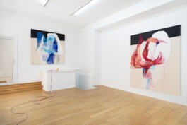 installation view of Edouard nardon's blue pruno blue exhibition at The Address, brescia Installation view of last exhibition at the gallery