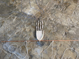 Installation view of last exhibition at the gallery