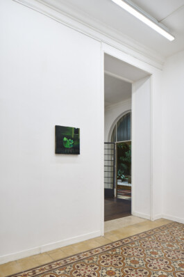 Installation view of last exhibition at the gallery