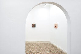 Installation view of last exhibition at the gallery