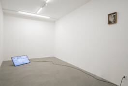 Installation view of last exhibition at the gallery