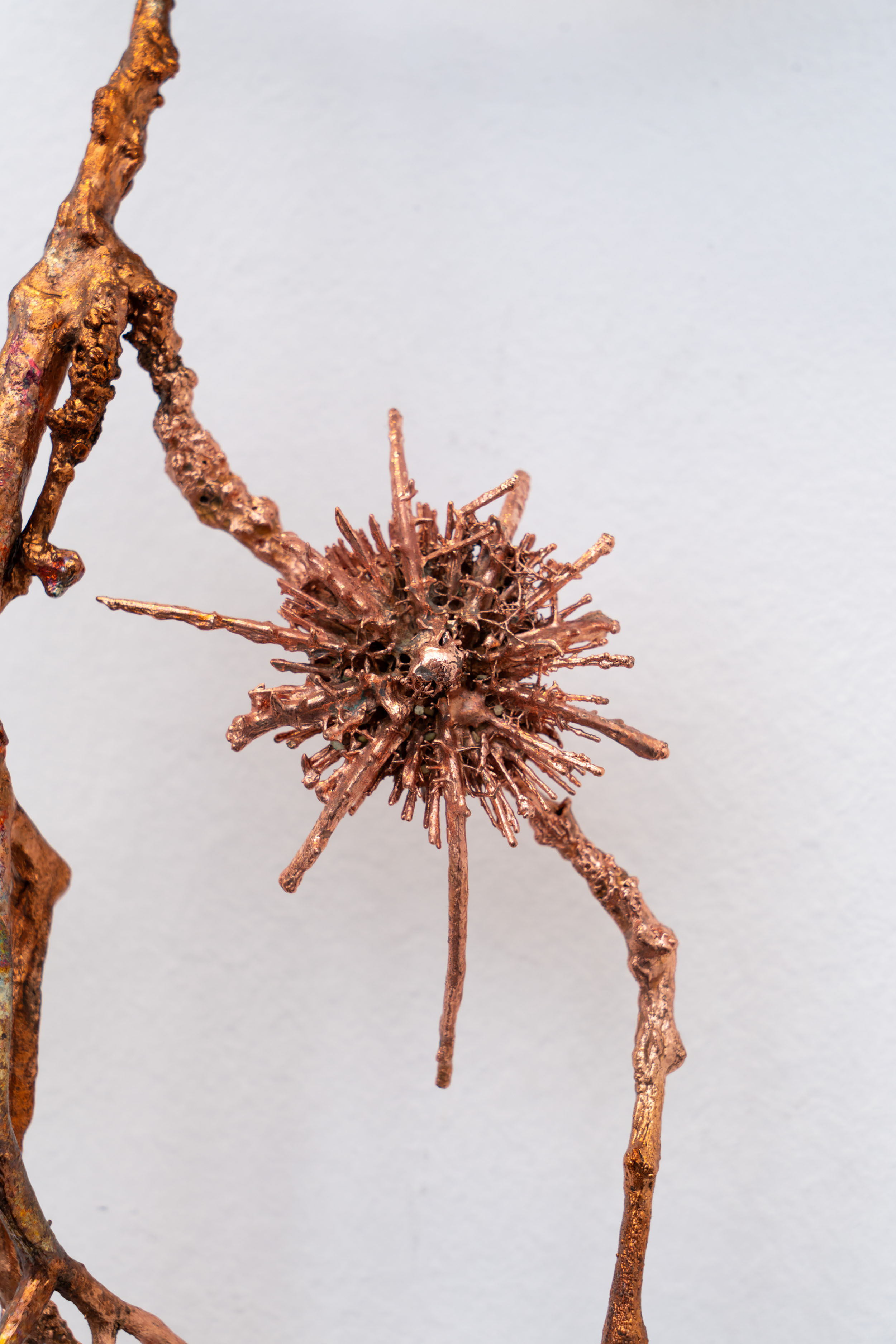  Installation view of last exhibition at the gallery