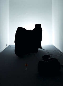  Installation view of last exhibition at the gallery