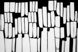 Installation view of last exhibition at the gallery