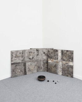  Installation view of last exhibition at the gallery