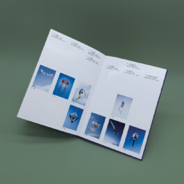 Installation view of last exhibition at the gallery