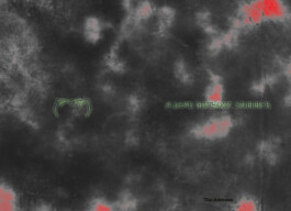 Installation view of last exhibition at the gallery