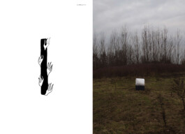 Installation view of last exhibition at the gallery