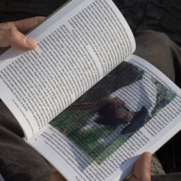 Installation view of last exhibition at the gallery