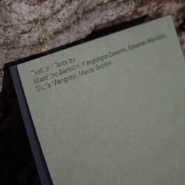 Installation view of last exhibition at the gallery