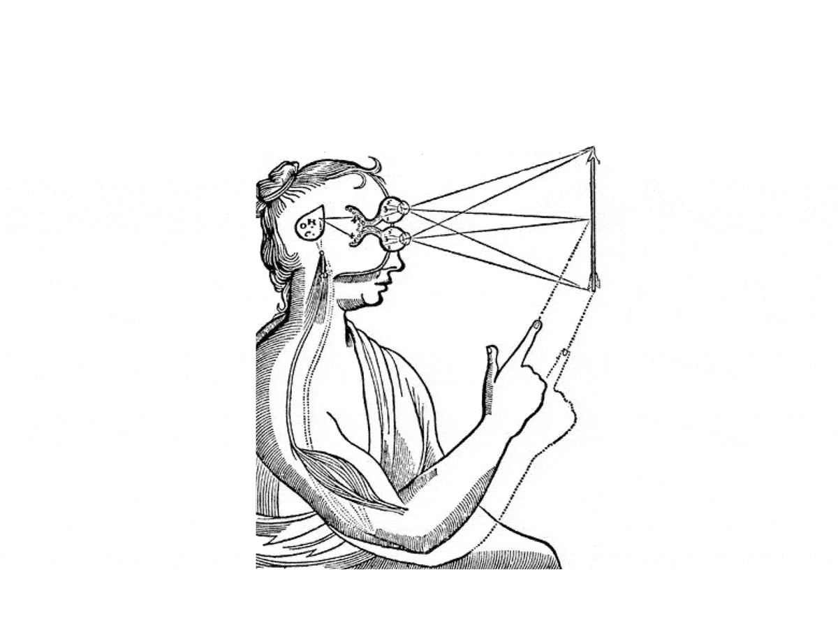  Installation view of last exhibition at the gallery