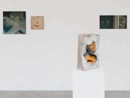 Installation view of last exhibition at the gallery