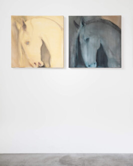 Installation view of last exhibition at the gallery