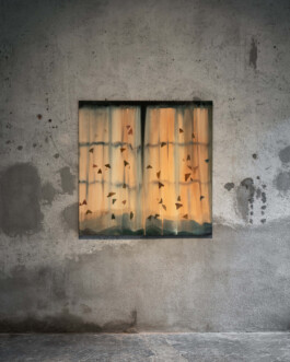 Installation view of last exhibition at the gallery