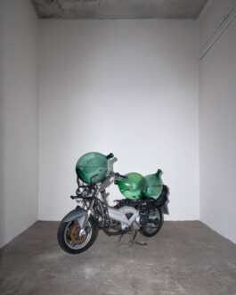 Installation view of last exhibition at the gallery