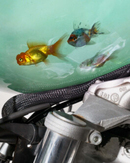 Installation view of last exhibition at the gallery