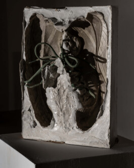 Installation view of last exhibition at the gallery