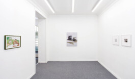 Installation view of last exhibition at the gallery