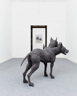 Installation view of last exhibition at the gallery