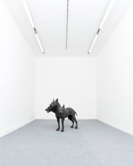 Installation view of last exhibition at the gallery