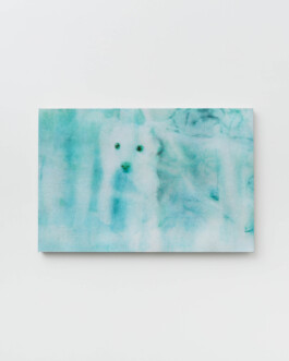 Installation view of last exhibition at the gallery