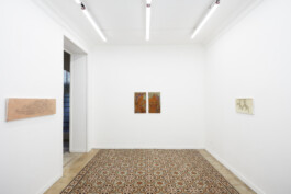  Installation view of last exhibition at the gallery