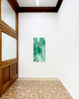 Installation view of last exhibition at the gallery